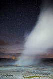 Steamland