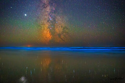 Bioluminescence (Oregon Coast and Pacific Coast) Fine Art Landscape Photography Prints