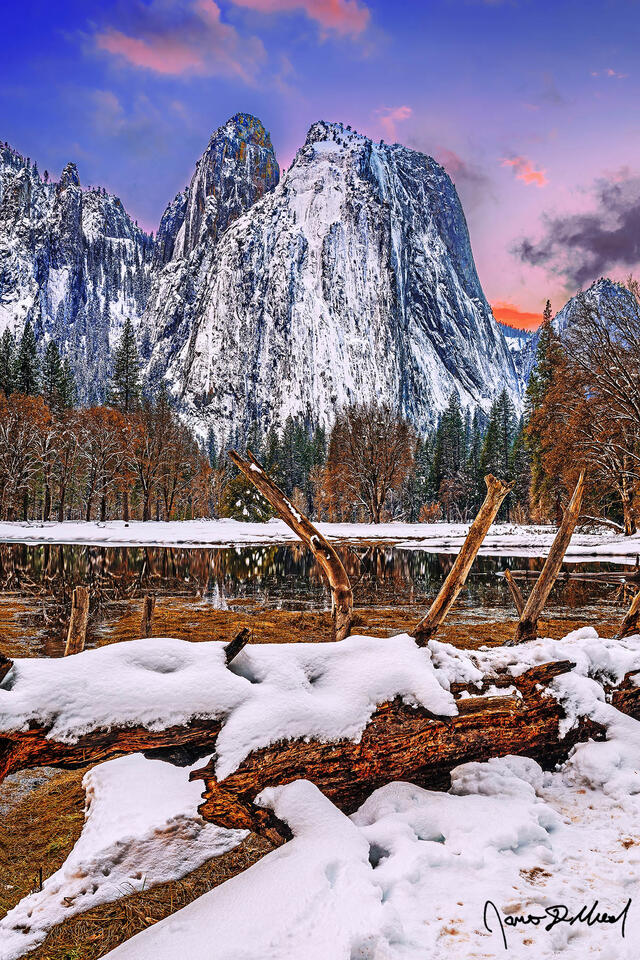 Alpenglow illuminates the skies over Cathedral Rocks and Cathedral Spires above Yosemite Valley and Wosky Pond in the winter as a fallen tree stands guard.