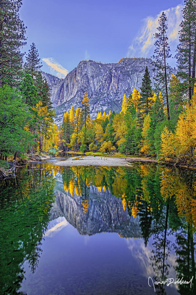 The colors of fall and the cliffs of Yosemite Valley reflect in the still waters of the Merced River as Golden Hour sunlight illuminates the tops of the trees