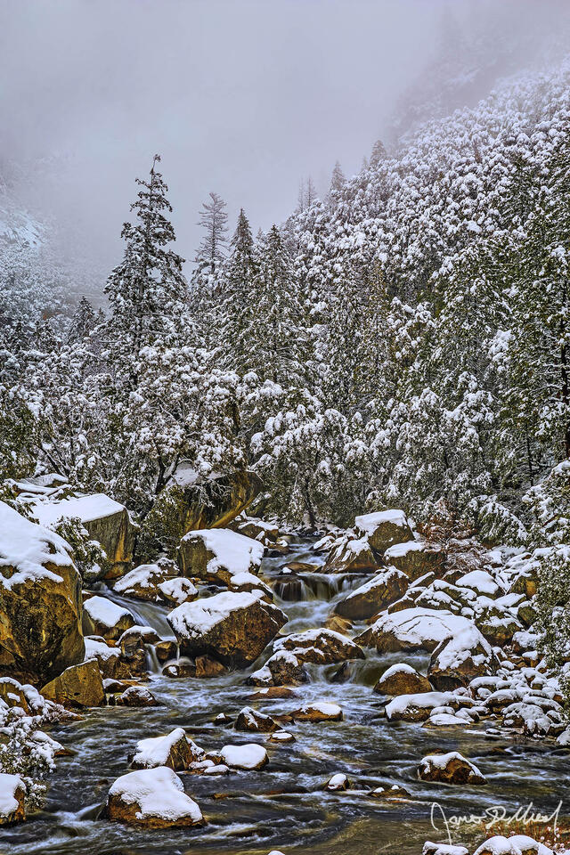 Snow from a winter storm blankets the Merced River Canyon in Yosemite as fog envelopes the surrounding cliffs above the Merced River.