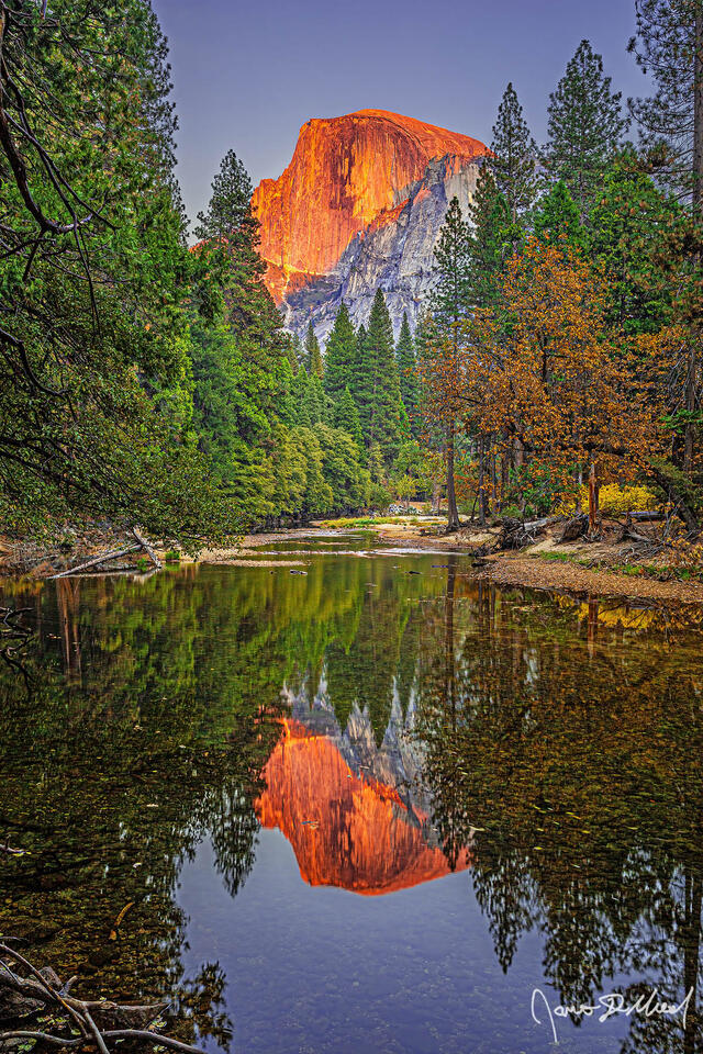 Alpenglow illuminates the face of Half Dome at sunset as the scene reflects in the clear, calm waters of the Merced River in Yosemite Valley.