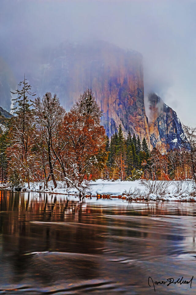 A veil of fog envelopes El Capitan as it rises above the Merced River and a snow covered Bridalveil Meadow.