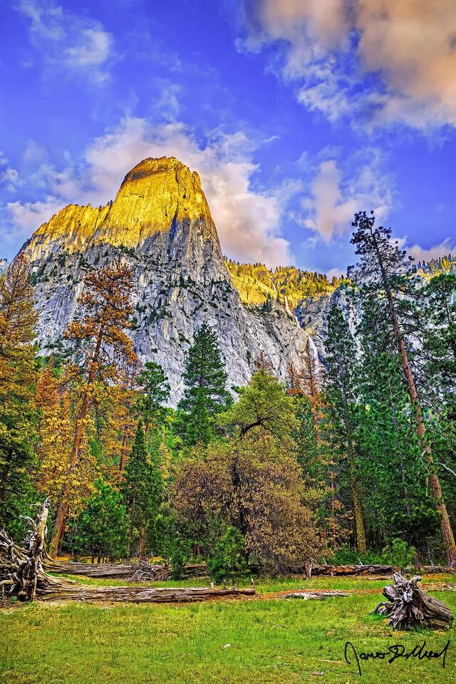 Sunset casts a golden glow on the top of Sentinel Rock and the cliffs above at sunset as Sentinel Fall flows down towards Yosemite Valley below.