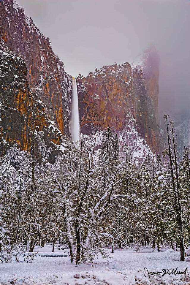 Fog during a winter storm cloaks the Leaning Tower above Bridalveil Fall in a veil of fog as snow blankets Bridalveil Meadow and the trees of Yosemite Valley.