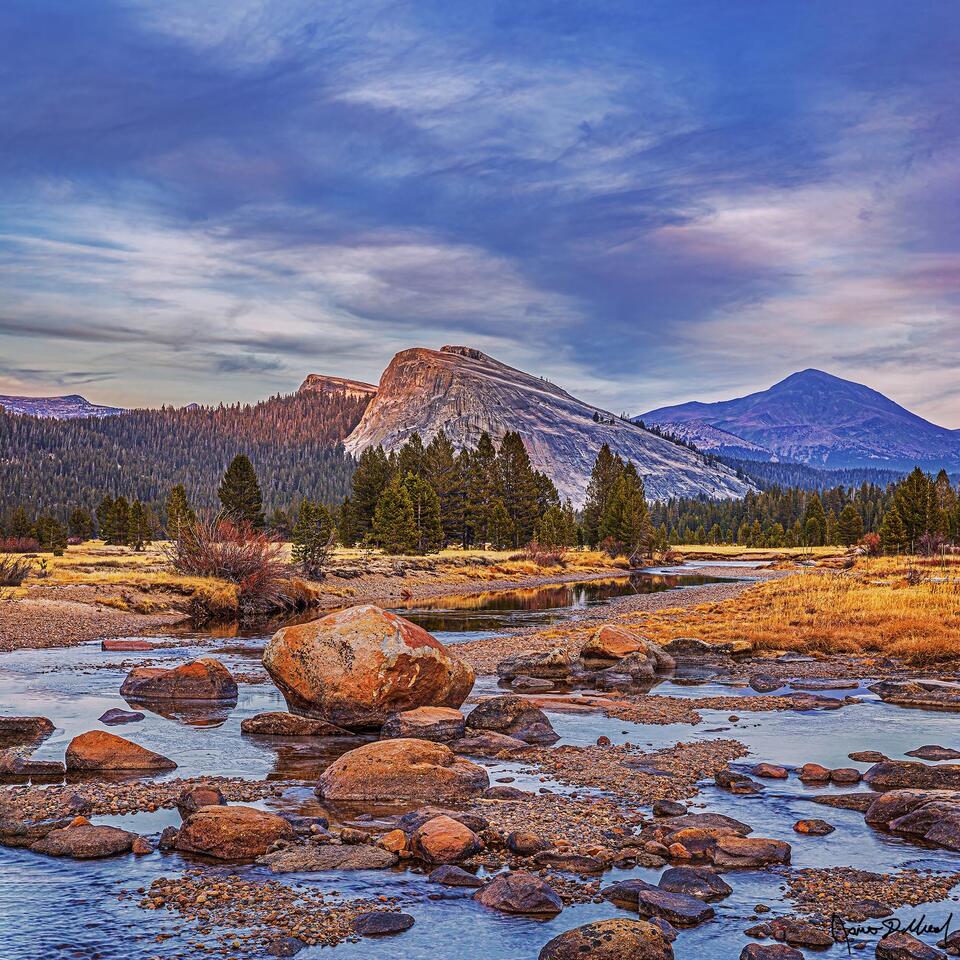 Alpenglow lights the top of Lembert Dome, Dog Dome and a small section of trees above Tuolumne Meadows as the Tuolumne River begins to freeze over.