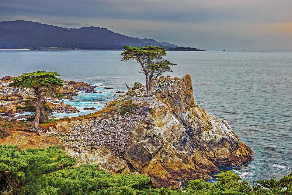 Two cypress trees stand guard atop the rocky cliffs rising out of the Pacific Ocean along the rugged California coastline.
