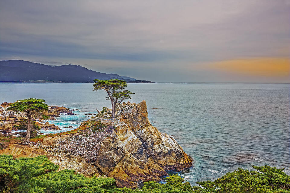 In a spot nicknamed The Lone Cypress, two Cypress trees actually sit perched on the cliffs overlooking the Pacific Ocean
