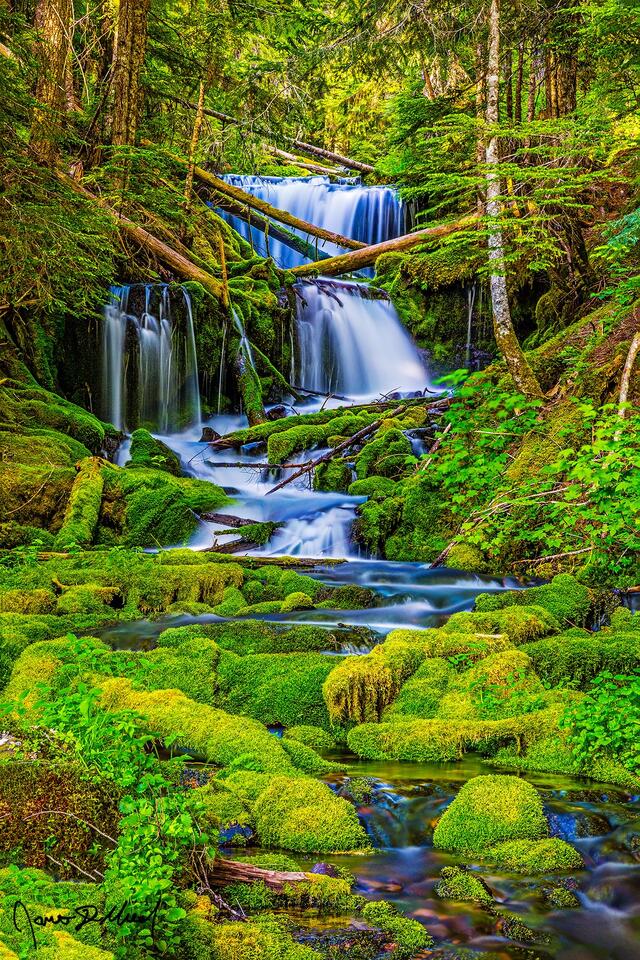 Surrounded by lush green forests of trees and moss covered fallen logs, Big Spring Creek Falls flows down the hillside dropping of 49 feet across three tiers.