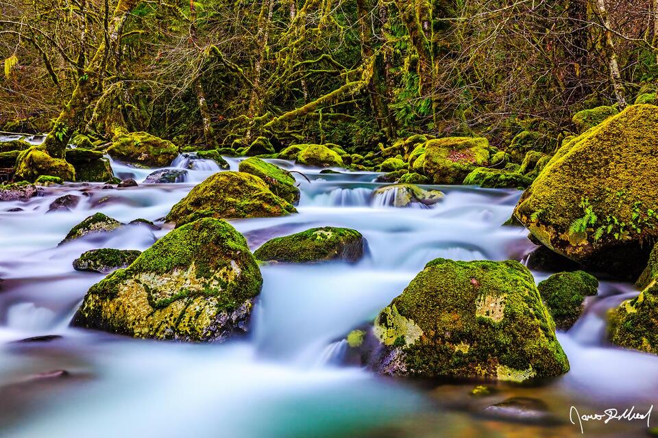 Rock Creek flows through the evergreen forests above the Columbia River Gorge during the winter.
