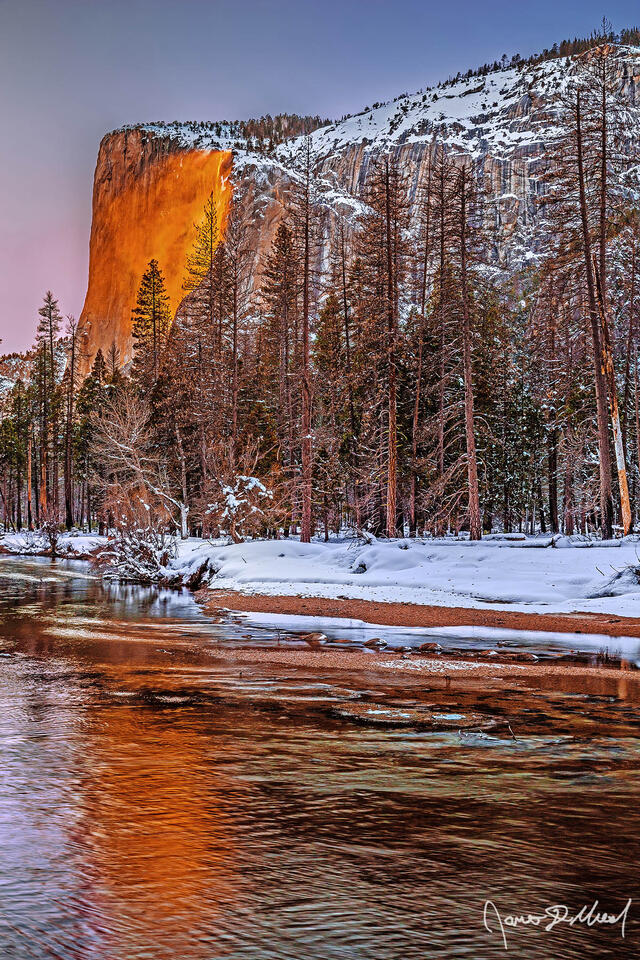 Sunset colors the sky above El Capitan & the Merced River, as the waters of Horsetail Falls glow orange like lava as the famous Yosemite Firefall comes to life.