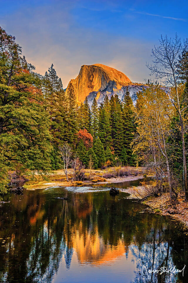 Sunset illuminates the face of Half Dome in soft golden colors as it reflects in the calm, still waters of the Merced River below.