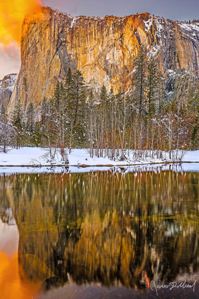 Sunset lights the El Capitan orange; the waters of Horsetail Fall glow orange like lava as the famous Yosemite Firefall comes to life above the Merced River.