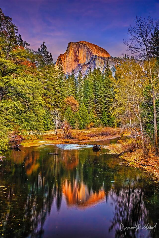 Alpenglow at sunset illuminates the face of Half Dome in soft orange and pink colors as it reflects in the calm, still waters of the Merced River below.