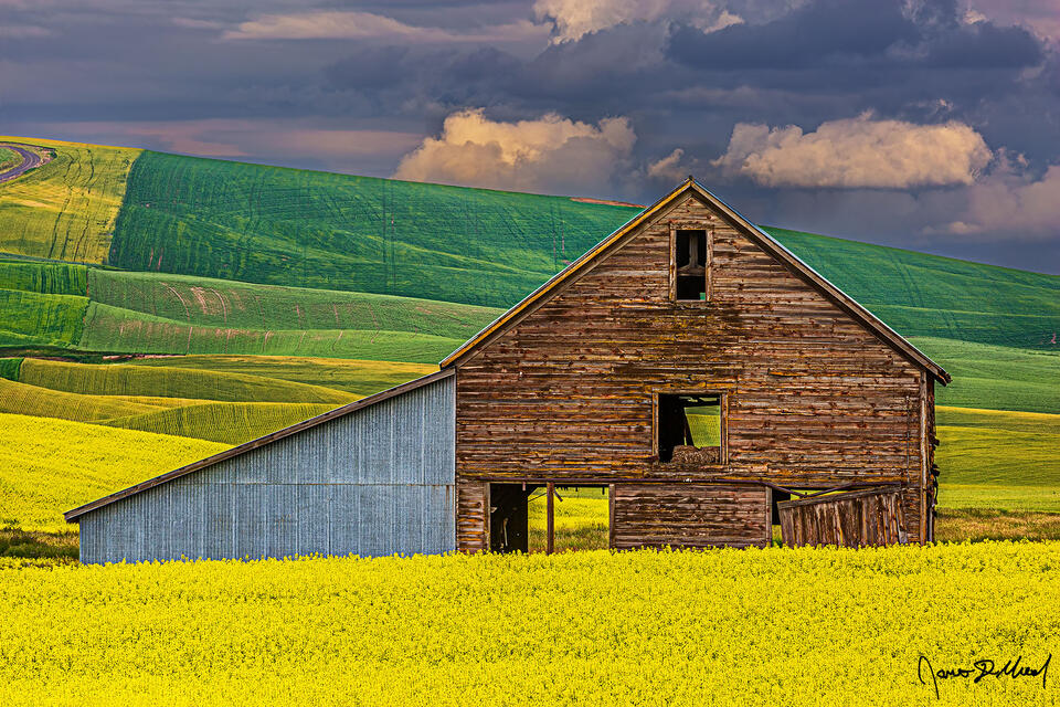 Storm clouds line the sky at sunset as patchwork crops of wheat, canola and other crops line the fields around the historic George Comegys Farm Barn.