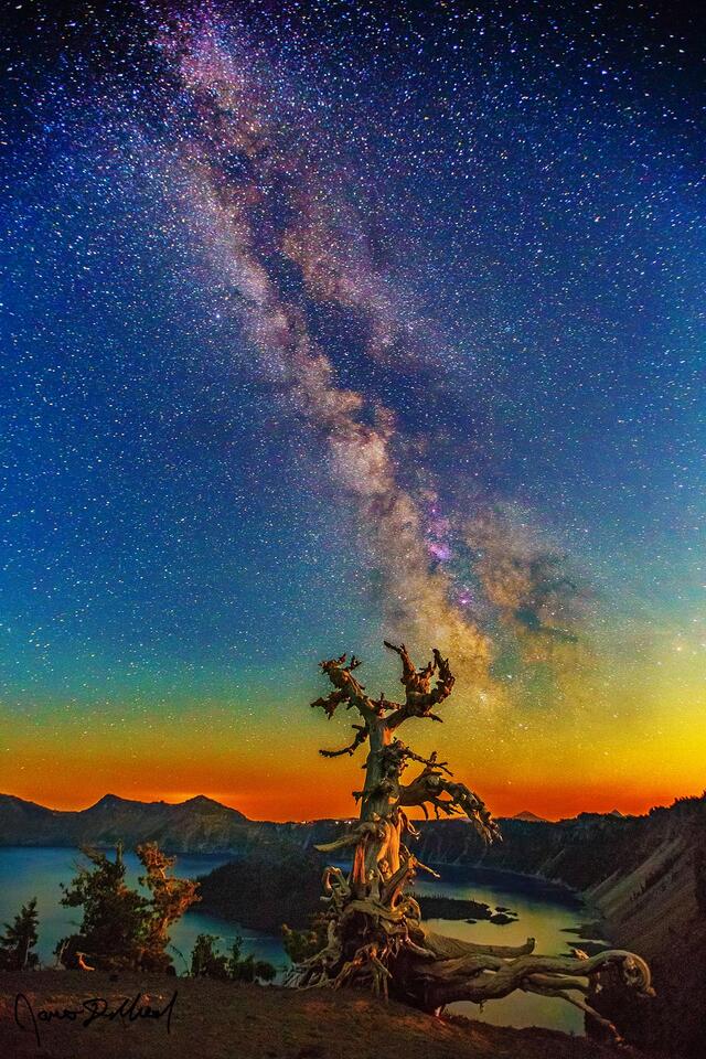 The setting moon illuminates a lonely Whitebark Pine, Wizard Island, and Crater Lake as the Milky Way core rises into the night sky above.