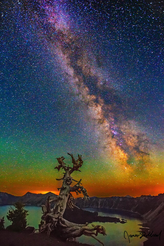 The Milky Way rises above Crater Lake, Wizard Island and a lonely Whitebark Pine as airglow stretches across the night sky.