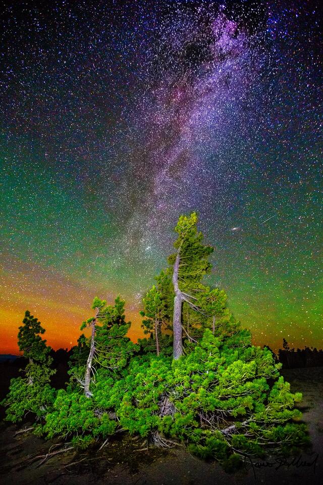 Green airglow and the spiral arm of the Milky Way light up the skies over a Whitebark Pines in Crater Lake National Park.