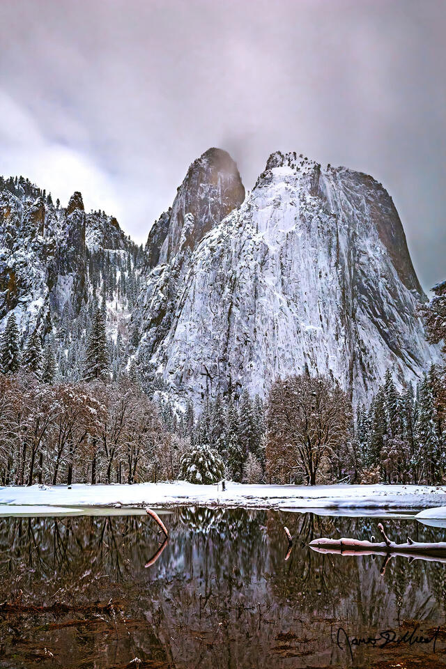 Winter moonlight illuminates snow covered Cathedral Rocks and Spires in Yosemite Valley as trees in the the meadow reflect off the still waters of Wosky Pond