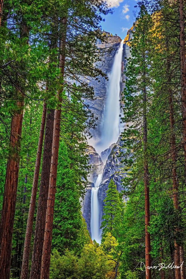 Trees frame Yosemite Falls as it tumbles down towards Yosemite Valley below while sunset illuminates parts of the cliffs above a golden hue.