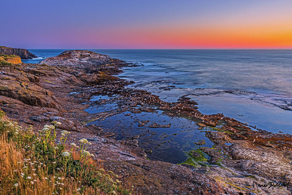 Seabirds line the rocks along the rugged shoreline of the Oregon Coast as the pastels of dusk mix with the last colors from sunset over the Pacific Ocean. 