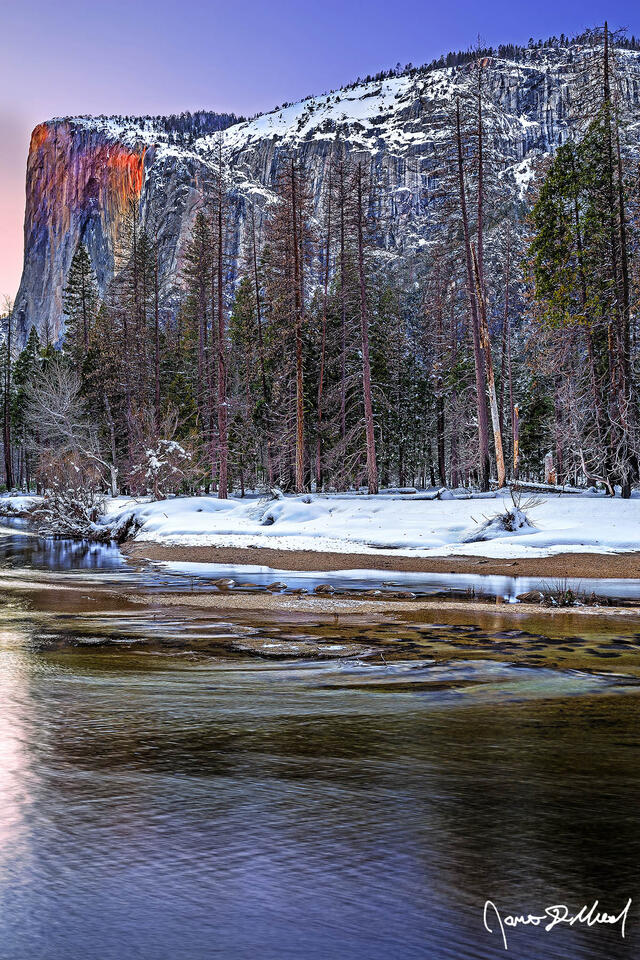 Sunset colors the sky above El Capitan & the Merced River, as the waters of Horsetail Falls glow orange like lava as the famous Yosemite Firefall comes to life.