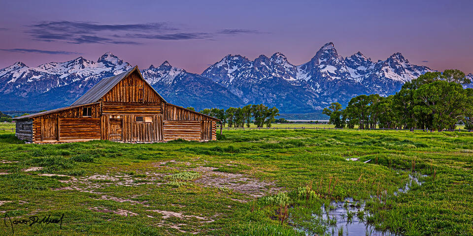 Alpenglow begins to illuminate the top of the peaks of the Grand Teton Range as a small creek runs through the green meadow in front of the TA Moulton Barn.