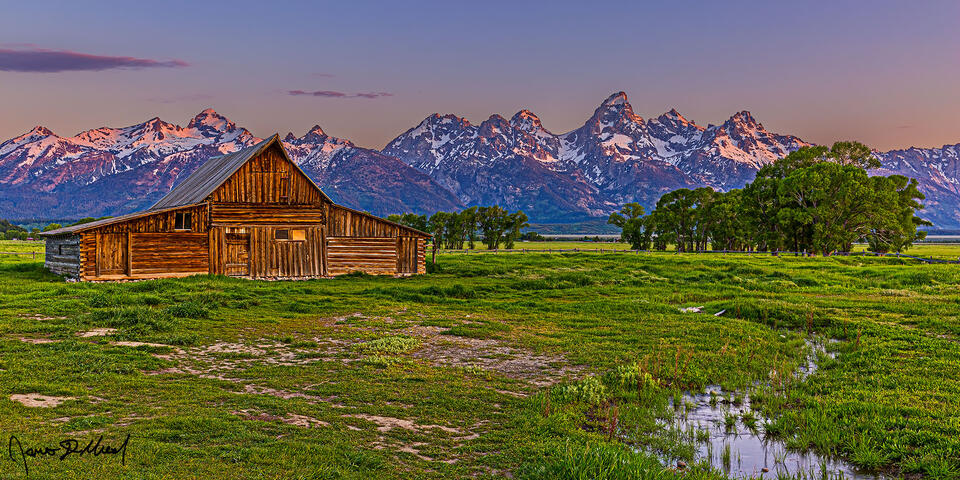 First light at sunrise illuminates the peaks of the Grand Teton Range as the TA Moulton Barn stands in a green meadow below.