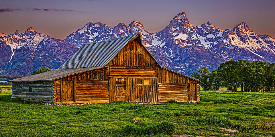 First light at sunrise illuminates the peaks of the Grand Teton Range as the TA Moulton Barn stands in a green meadow below.