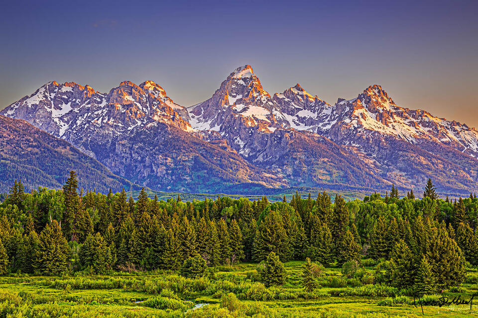 A soft morning glow at Sunrise illuminates the Cathedral Group as they rise above a wetland meadow along the Snake River.