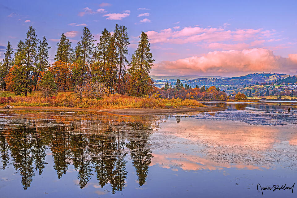Fall colors line the shore of the Columbia River as the scene reflects in the still water of the river.