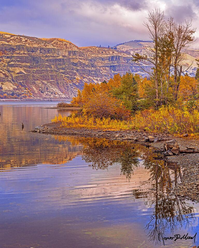 Autumn along the Columbia River, Columbia River Gorge, Oregon. Fall colors line the banks of the Columbia River at the scene reflects in its still waters.