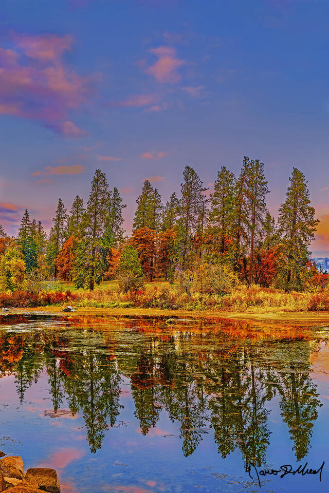 Sunset lights the skies above while Autumn colors fill the leaves of the trees along the Columbia River, as the entire scene reflects in the still waters.