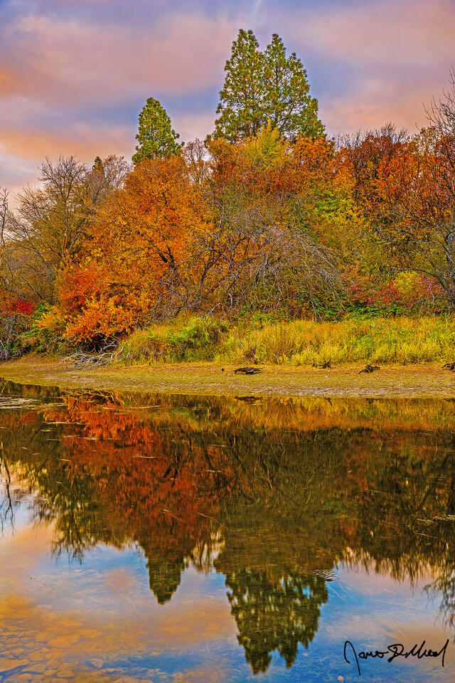 Sunset lights the skies above while Autumn colors fill the leaves of the trees along the Columbia River, as the entire scene reflects in the still waters.