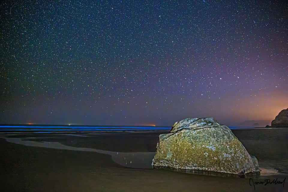 Stars and airglow illuminate the night sky as Bioluminescence illuminates the Pacific Ocean. Stars reflect in a small stream of water left in the sand.