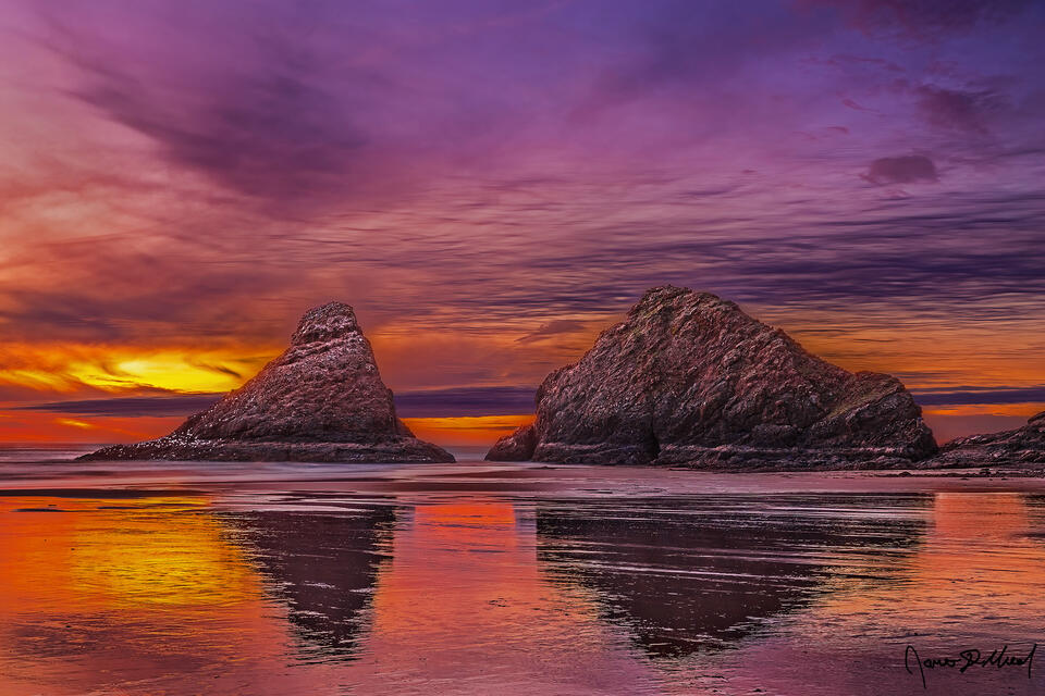 The warm colors of the sunset reflect off the wet sand like fire on the water, while Sea Stacks rise up from the Cape Cove during a negative tide (minus tide).