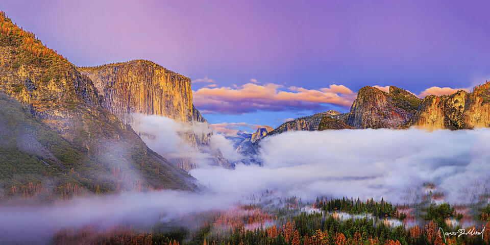 A veil of fog rolls in cloaking Yosemite Valley at sunset as Cathedral Rocks and El Capitan frame Half Dome as it rises up out from the fog.