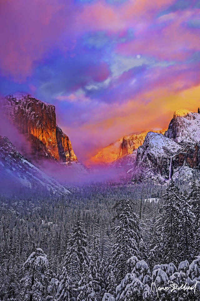 Full Moon rises as sunset illuminates fog and snow covered cliffs of Yosemite Valley. Alpenglow illuminates fog cloaked El Capitan as Bridalveil Fall flows.