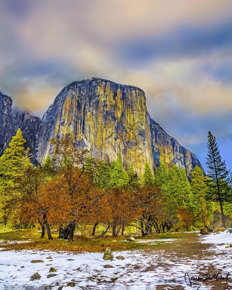 The season transitions from fall to winter in Yosemite Valley as the first snowfall of nearing winter arrives in the meadow below El Capitan.