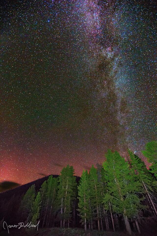 The Aurora Borealis and Milky Way Spiral Arm rise into the sky above Black Butte and Lodgepole Pines in Yellowstone National Park.