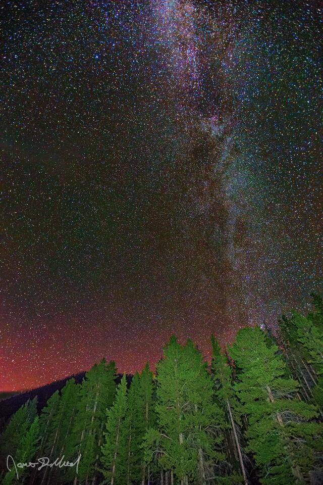 The Aurora Borealis and Milky Way Spiral Arm rise into the sky above Black Butte and Lodgepole Pines in Yellowstone National Park.