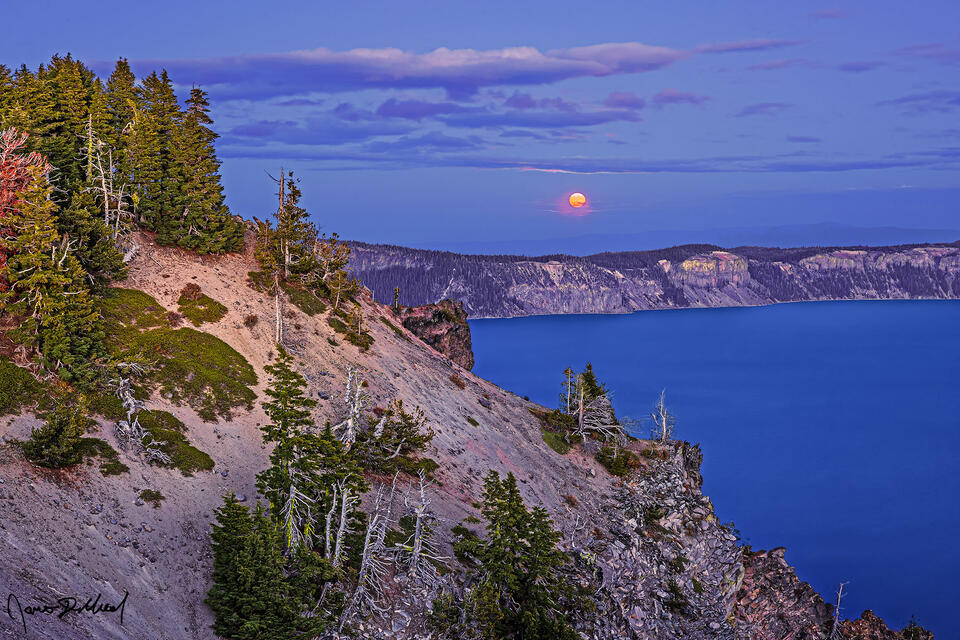 The Hunter's Moon glows golden yellow as it rises over Merriam Point, Mountain Hemlock trees, Crater Lake and the caldera East Rim at dusk