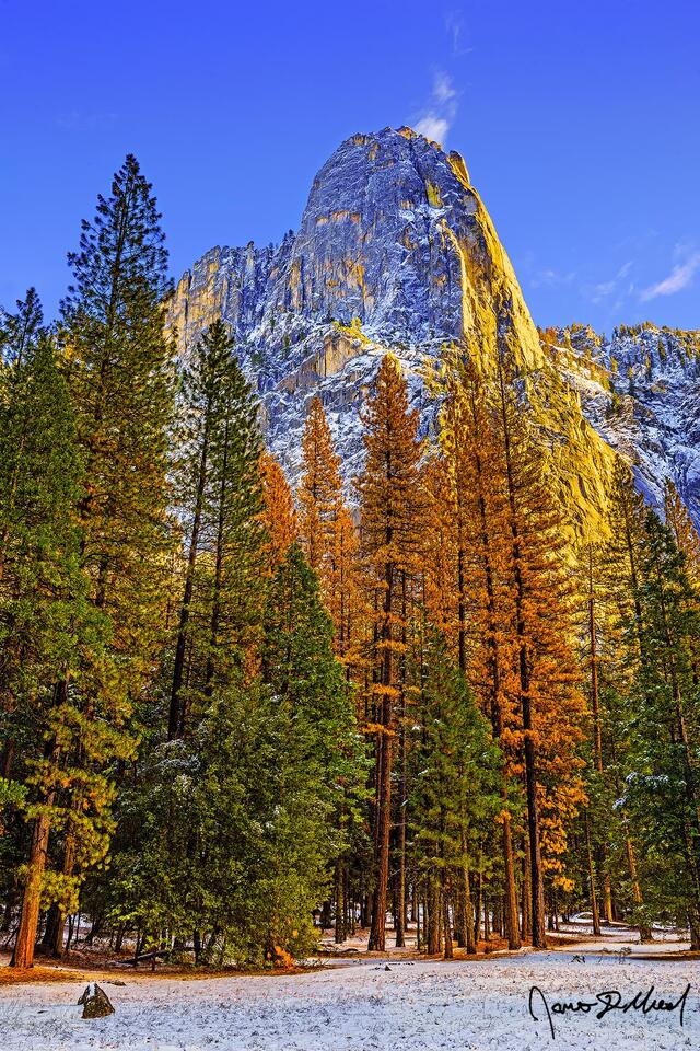 Sunset casts a golden glow onto the face of Sentinel Rock as the fresh snow of oncoming winter blankets the Yosemite Valley floor.