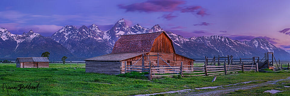 Alpenglow begins to light the slopes of the Cathedral Group as the colors of sunrise come to life in the skies above the John Moulton Barn and the Teton Range.