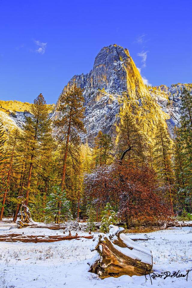 Sunset casts a golden glow onto the face of Sentinel Rock as the fresh snow of oncoming winter blankets the Yosemite Valley floor.