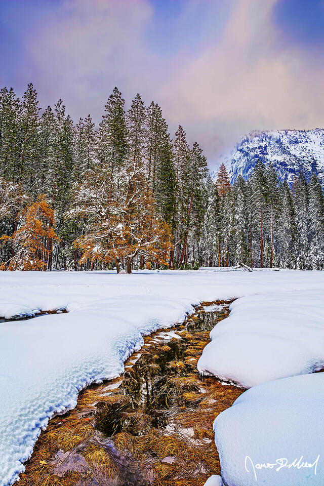 Sunset brings colors to the skies above snow covered Stoneman Meadow in Yosemite Valley as the scene reflects in an ephemeral creek surrounded by snow.