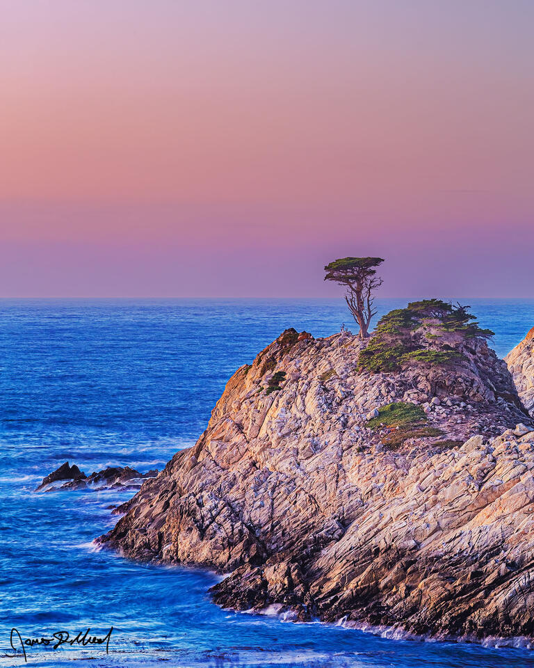 The soft pastels of sunset light the skies as a lone cypress tree clings to the jagged cliffs of the rugged California coastline near Big Sur, California.