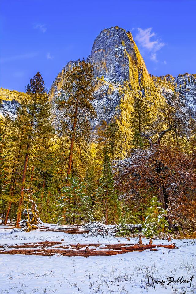 Sunset casts a golden glow onto the face of Sentinel Rock as the fresh snow of oncoming winter blankets the Yosemite Valley floor.