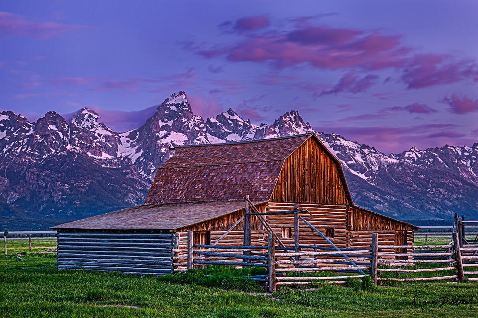 Alpenglow begins to light the slopes of the Cathedral Group as the colors of sunrise come to life above the John Moulton Barn and the Teton Range.