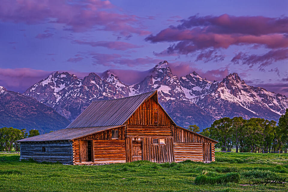 Alpenglow begins to light the slopes of the Cathedral Group as the colors of sunrise come to life above the TA Moulton Barn and the Teton Range.